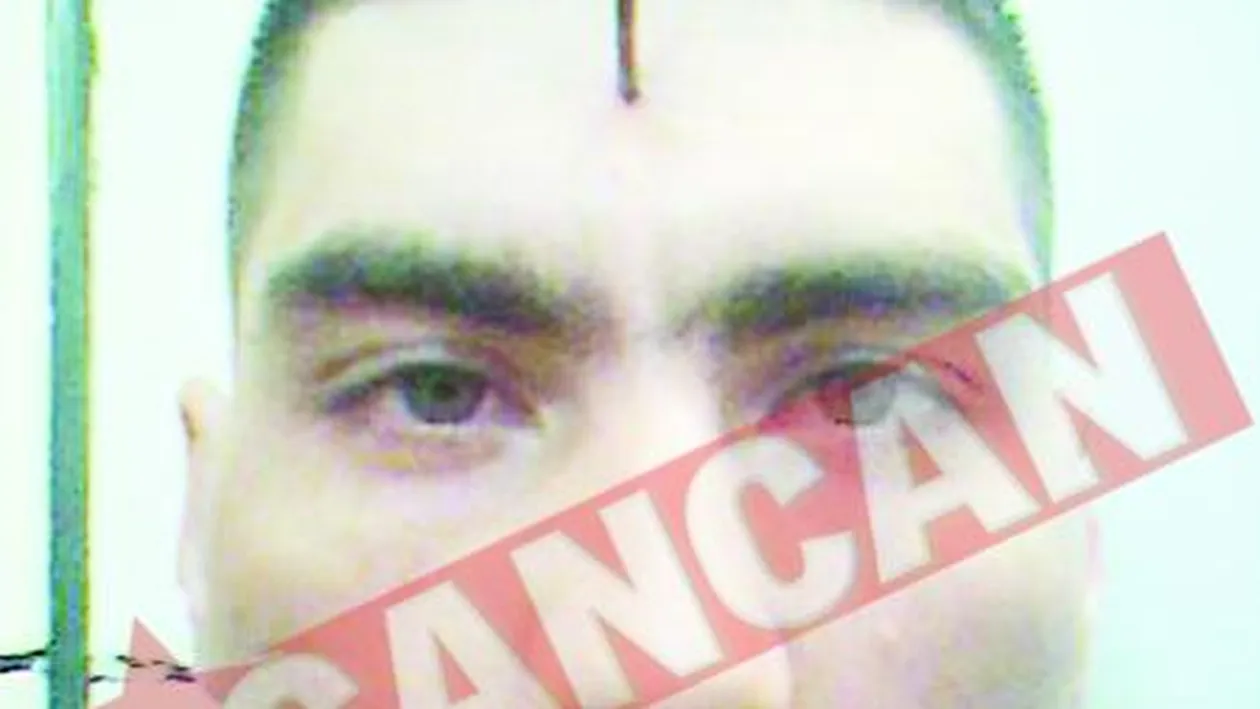 Si-au batut cuie In cap pentru Honcila