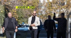 Galerie foto - poza 2