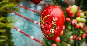 Galerie foto - poza 4