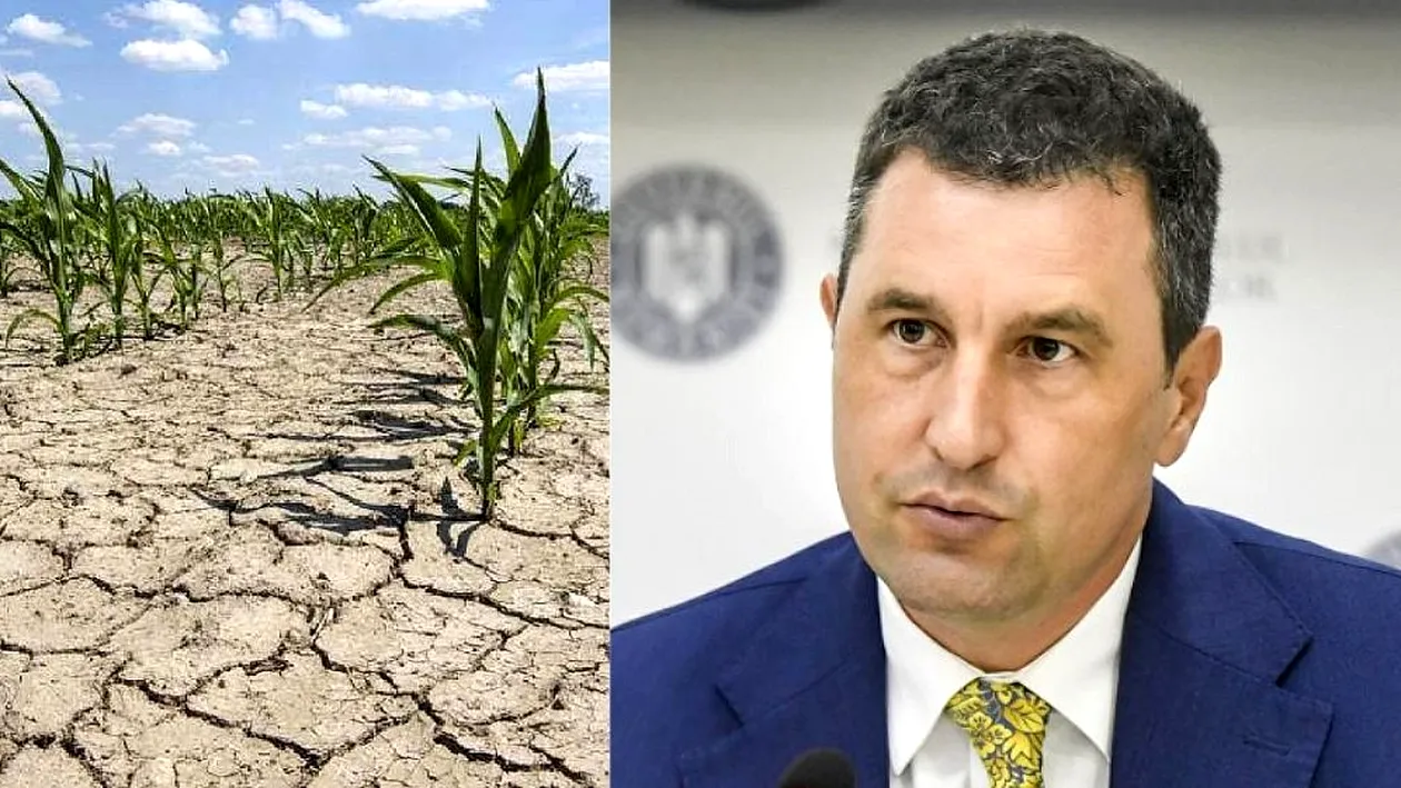 Scenariu sumbru pentru România. Ce spune ministrului Mediului despre declararea stării de urgenţă climatică