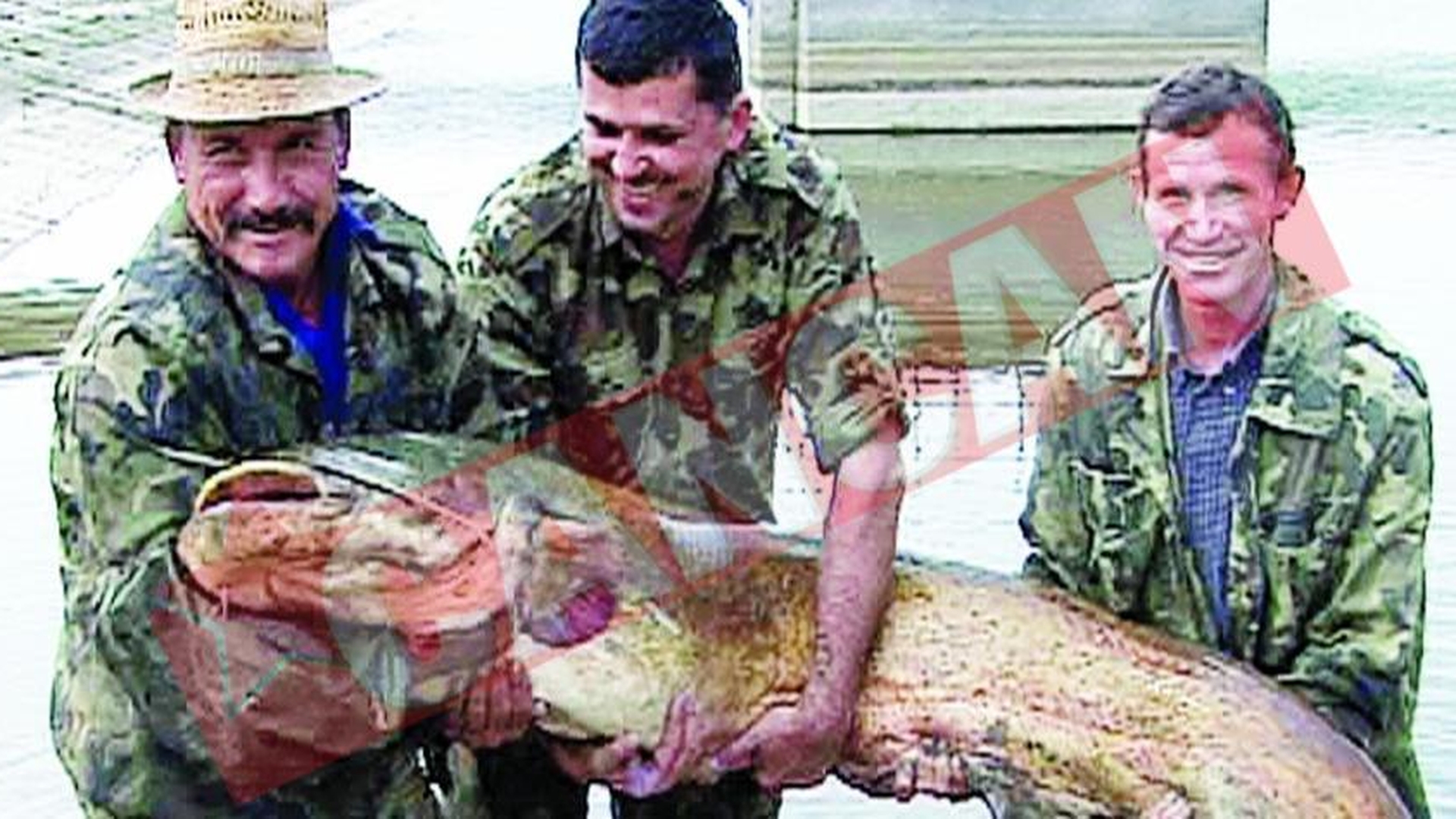 Iazul cu somni de 100 kg