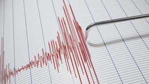 Cutremur în Buzău, la 3 km de Nehoiu. Este al şaptelea, de la începutul lunii