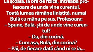 BANC | La școală, la ora de fizică, întreabă profesoara de unde vine curentul. "Din cocină", răspunde Bulă