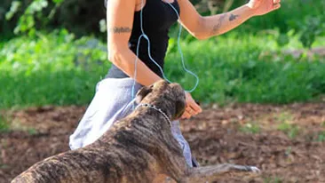 A sarit cainele la ea - Aflati aici despre ce este vorba