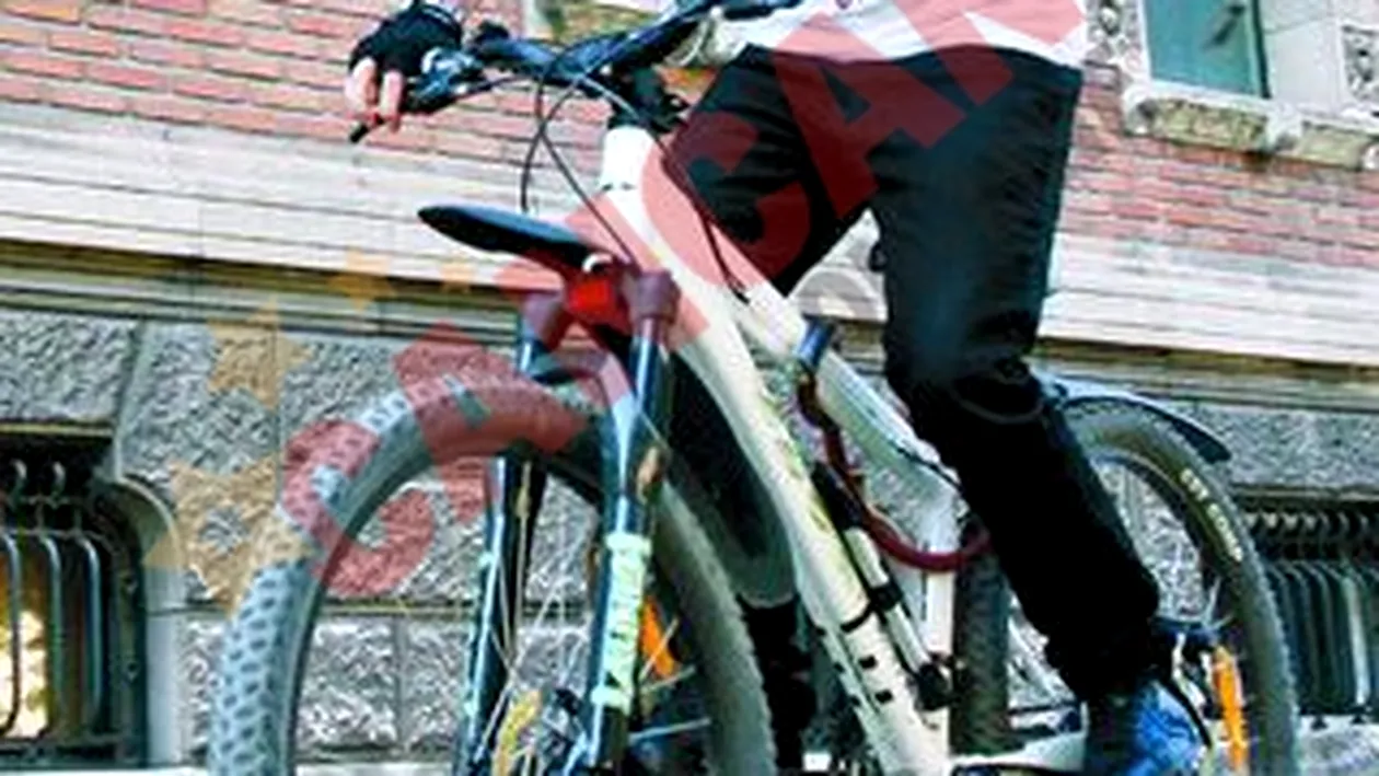 Hiena de la Animal X: Am multe iubite, pentru ca imi place sa imi traiesc viata