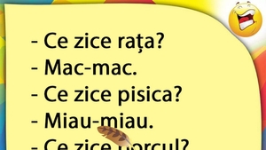 BANCUL ZILEI | Rața, pisica și porcul