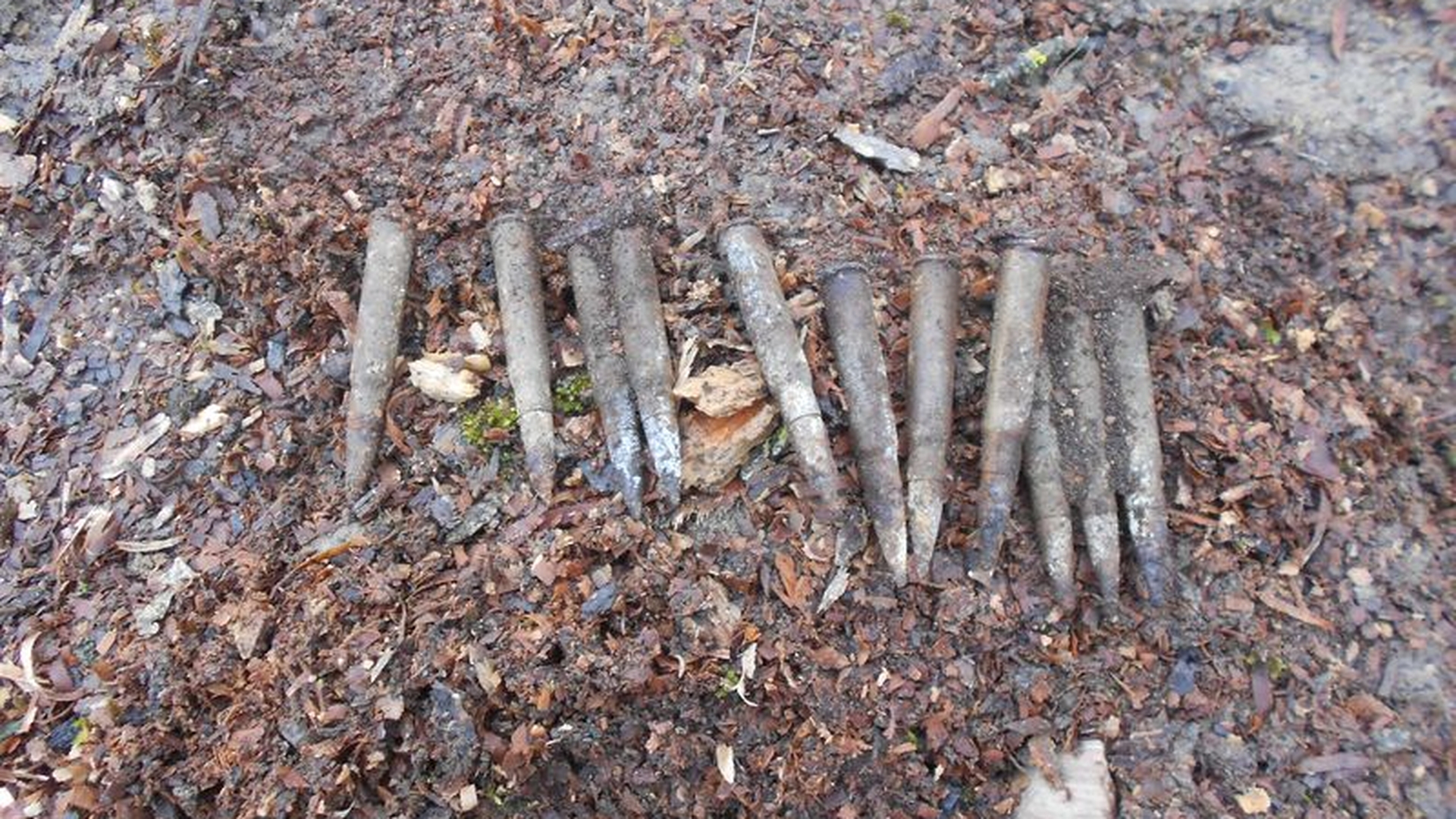 Peste 100 de cartușe de infanterie, găsite de un bărbat care planta copaci