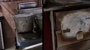 Ce s-a descoperit în restaurantul groazei din Reghin? Mâncare expirată din 2022 și...