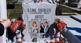 Galerie foto - poza 1