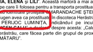 Violatoarea taximetristului din Tulcea apare intr-un dosar al lui Nutu Camataru!