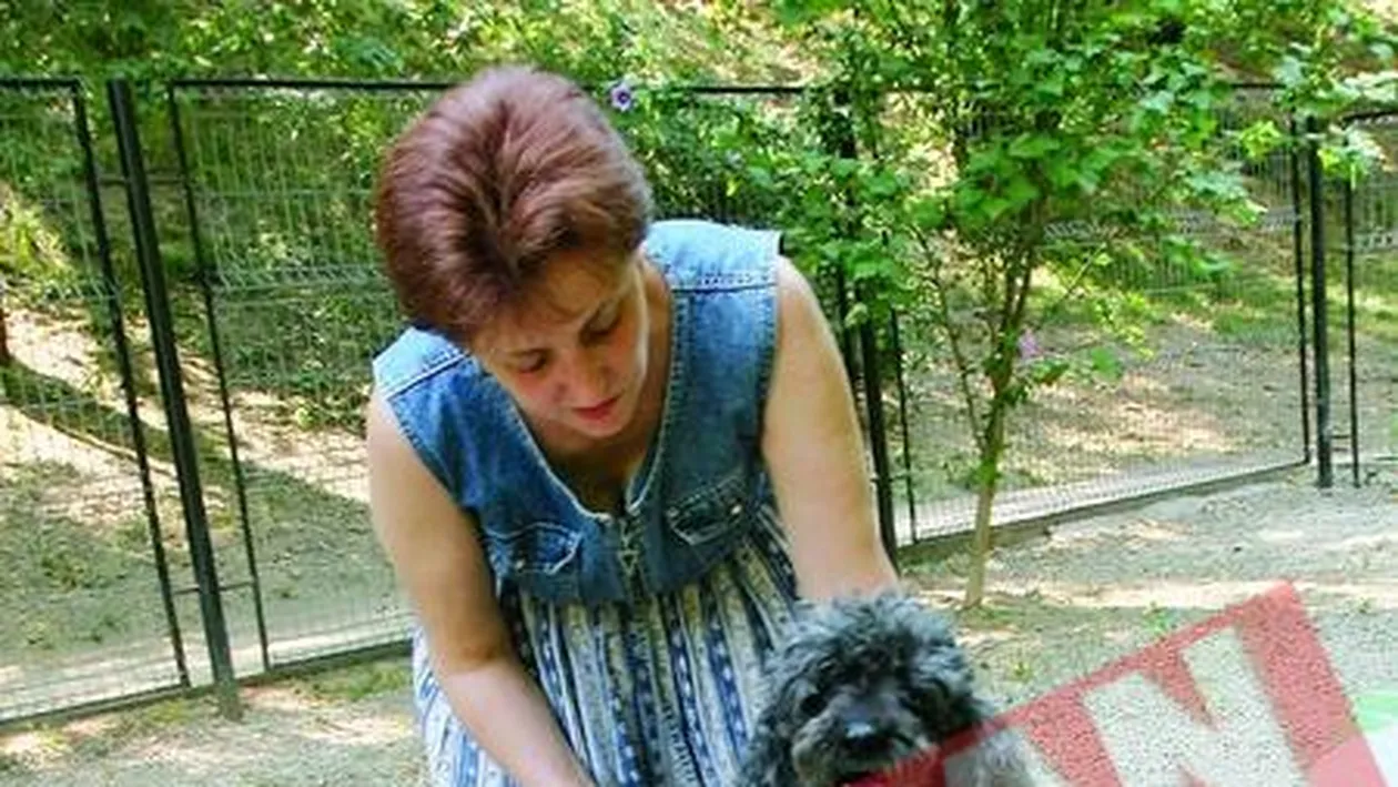 Cainii de companie din Bucuresti au parcuri de distractie