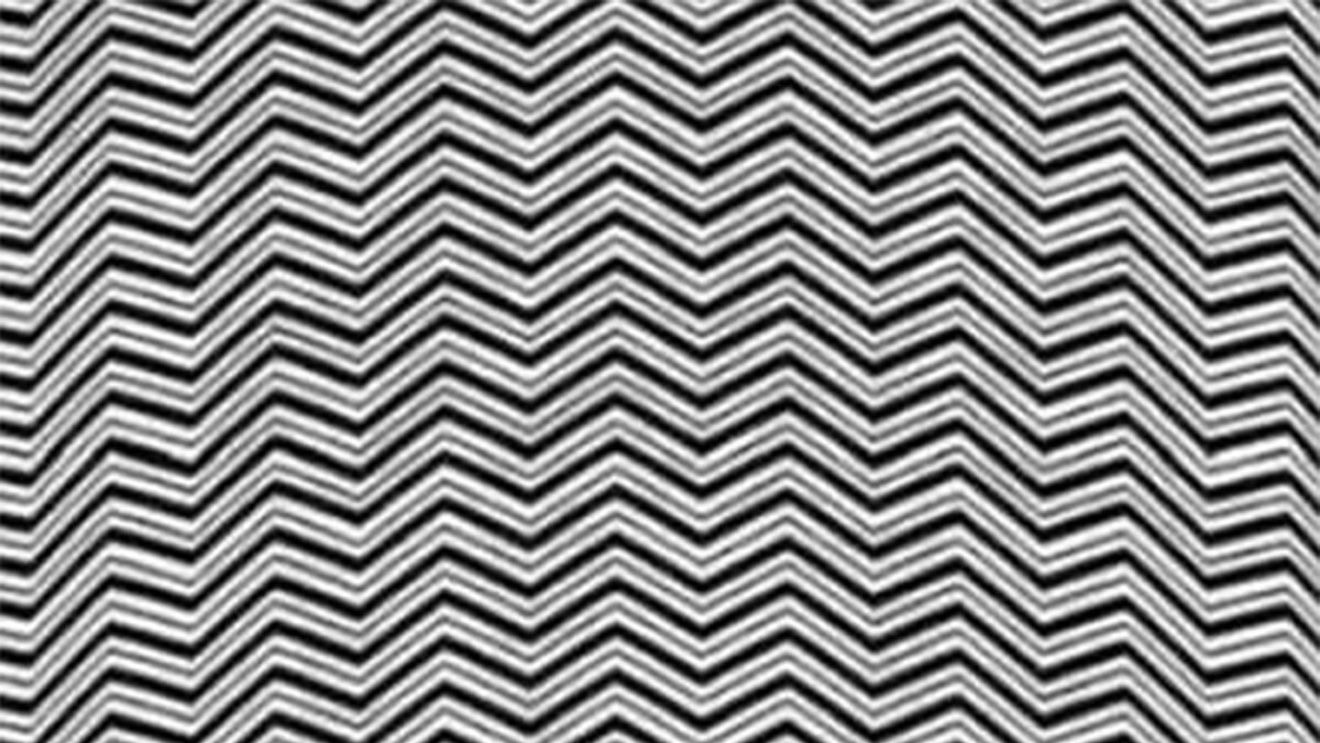 Iluzie optică virală | Doar 1 din 100 de oameni pot vedea ce animal se ascunde în această imagine