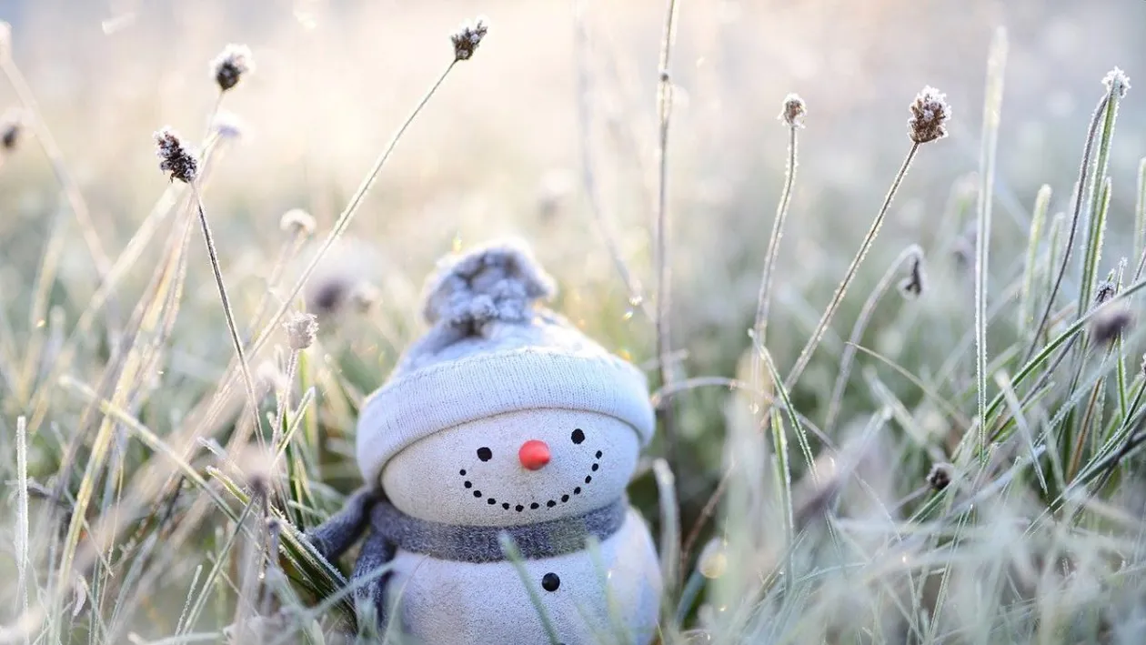 BANC | Cele mai tari glume de Crăciun: „Draga mea, ce ai vrea să-ţi aducă Moş Crăciun?”