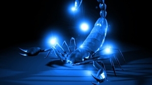 Horoscop zilnic: Horoscopul zilei de 25 iunie 2018. Scorpionii se preocupă de partea financiară