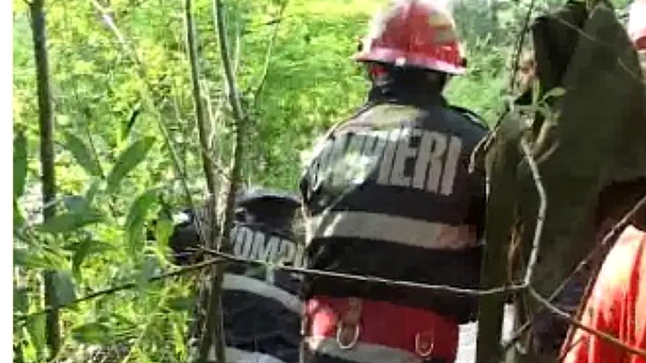 O femeie a fost rănită de un copac doborât de vânt, în zona Piaţa Presei Libere