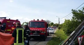 Galerie foto - poza 1