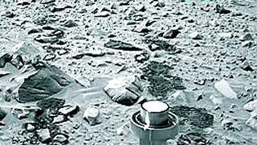 Au gasit o gorila pe Marte!