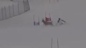 VIDEO Un schior s-a intalnit cu un cerb pe partia pe care se antrena!