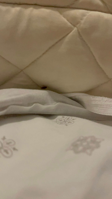 Șocul unei familii de români, după ce s-au cazat la un hotel din Bulgaria. De necrezut ce a pățit copilul lor, lăsat singur în cameră