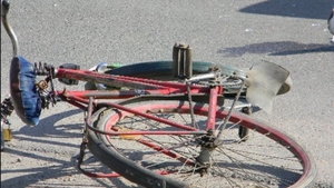 Doi bicicliști din Vrancea, soț și soție, spulberați de o mașină! Au murit pe loc