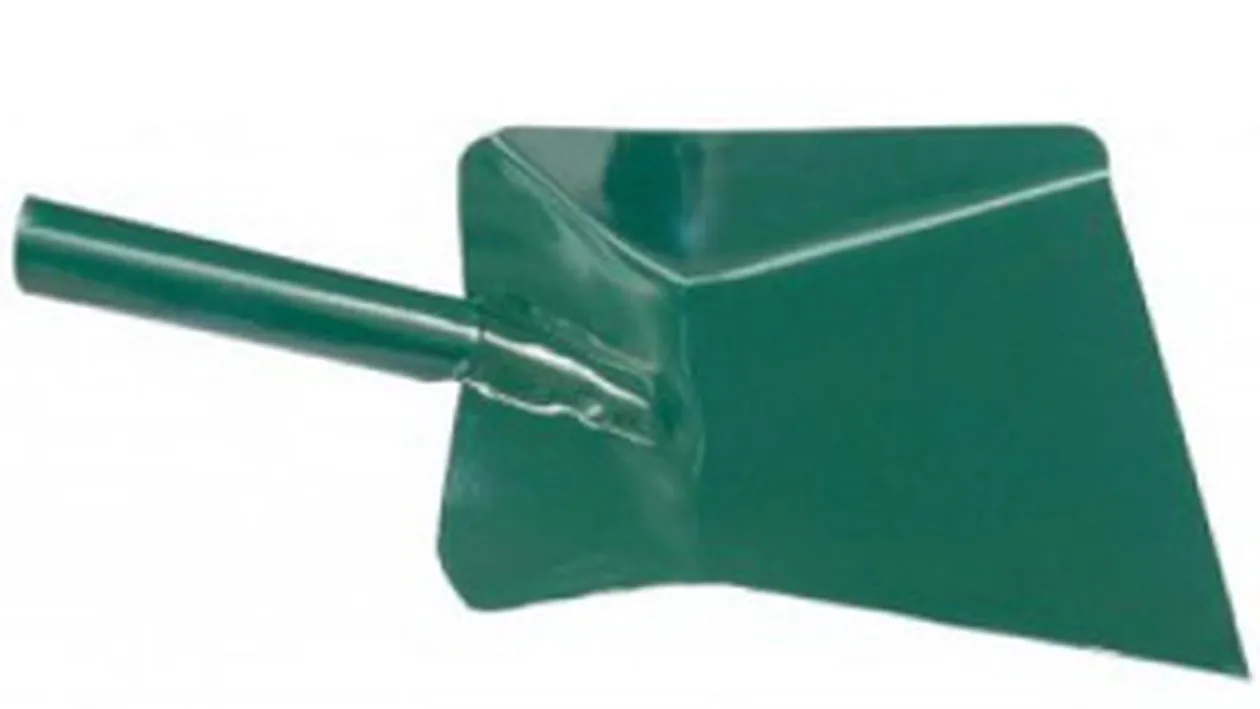 Un dambovitean ia zilnic bataie cu farasul de la sotie!