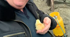 Galerie foto - poza 3