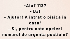 BANCUL ZILEI | "Ajutor! A intrat pisica în casă"