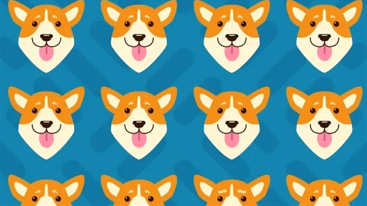 Test de perspicacitate | Care dintre acești 16 căini este diferit de toți ceilalți? Detaliul pe care puțini îl observă