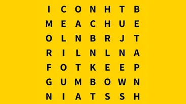 TEST IQ | Ești un geniu dacă poți găsi cuvântul blog în maximum 13 secunde