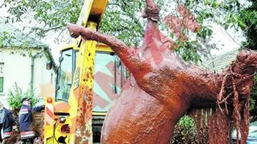 6 milioane de tone de otrava rosie la Tulcea