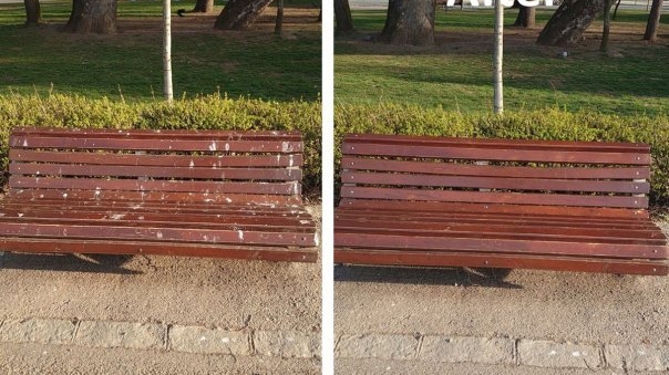 Spirit civic la Cluj. Ce a făcut un bărbat în Parcul Central. „Am luat atitudine”
