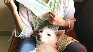 O fetiţă de 12 ani s-a sinucis după ce profesoara a umilit-o că i-a venit ciclul! Ce a scris copila în biletul de adio