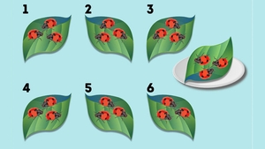 Test de inteligență | Care dintre aceste 6 frunze e la fel ca frunza din farfurie?