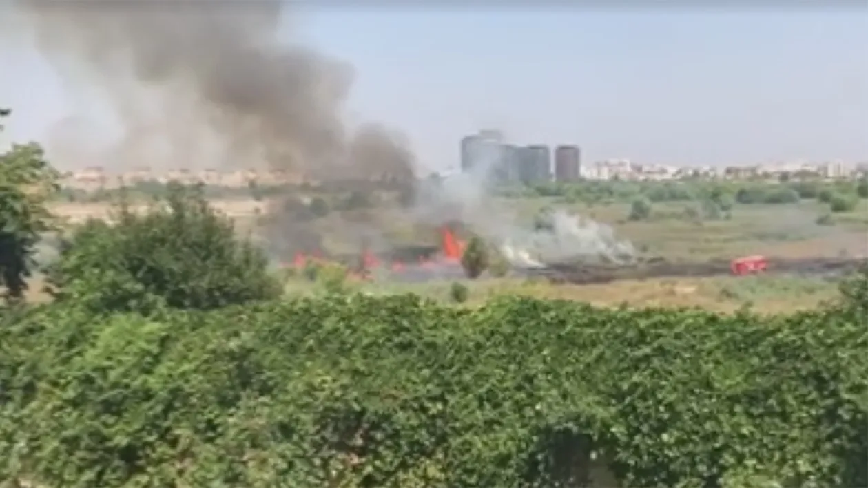 Incendiu de vegetaţie în Delta Văcăreşti!