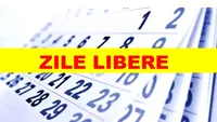 Viorica Dăncilă: 24 și 31 decembrie sunt zile libere pentru bugetari! Când începe munca