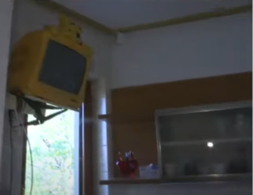Imagini cu apartamentul Gabrielei Lucuțar / Foto: Captură Video XNS