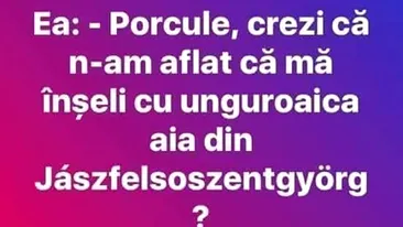 BANC | Porcule, crezi că n-am aflat că mă înșeli cu unguroaica aia din Jaszfelsoszentgyorg?