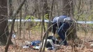 Tânăr de 18 ani, găsit mort în pădure. Ce au descoperit oamenii legii 