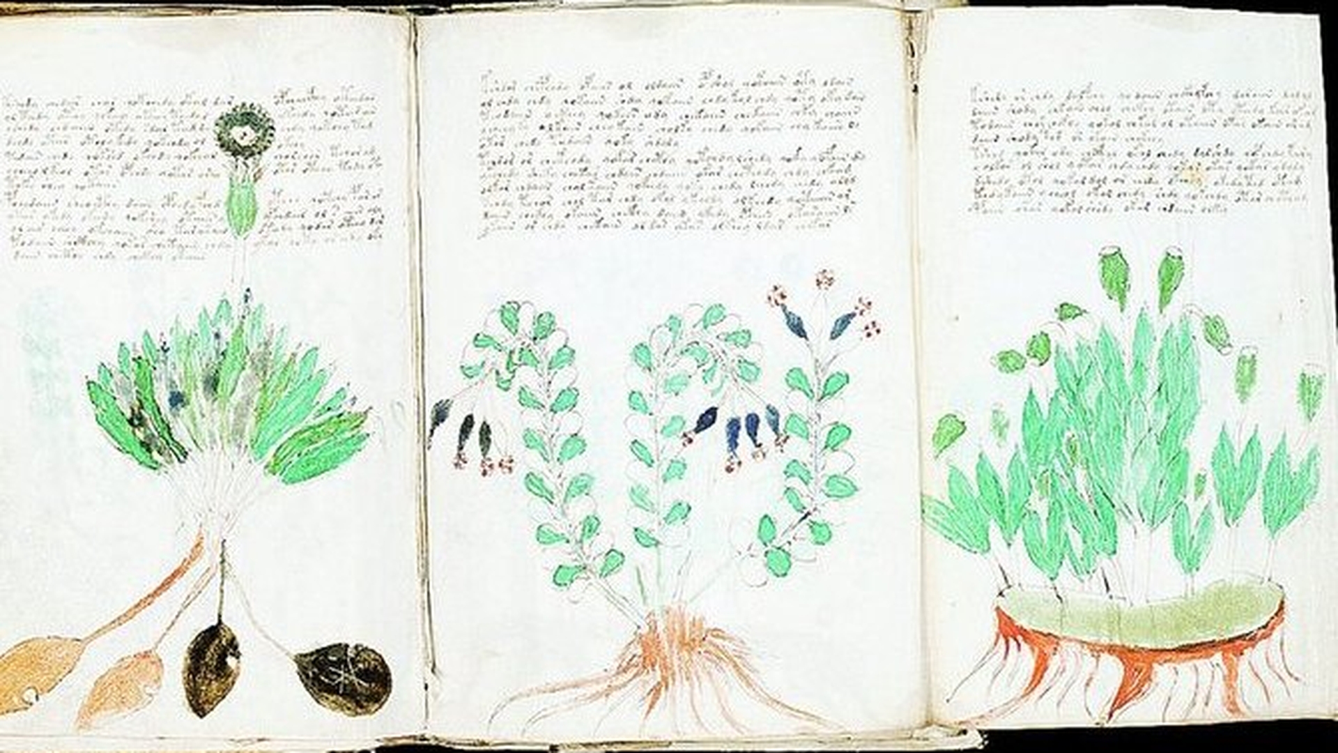 Manuscrise cu mesaje misterioase Textele stravechi ne infatiseaza o alta lume