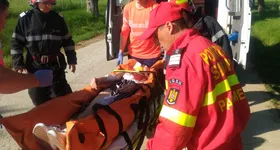 Galerie foto - poza 1