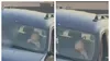 Anchetă după ce un bebeluș de 11 luni a fost pus la volan. Mama, o adolescentă de 17 ani, a filmat totul