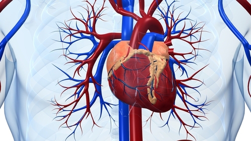 Cand te trimite inima la medic?