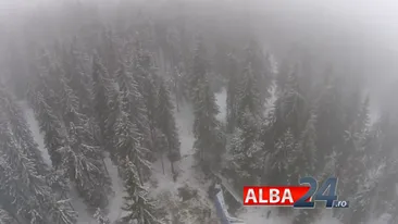 Controversa scandaloasa intre jandarmi si localnici in cazul Iovan. “Localnicii ne-au incurcat, ne-au trimis pe un drum mai greu