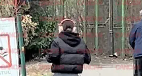 Galerie foto - poza 2