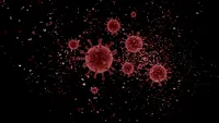 Coronavirus România, 4 septembrie. Alți 47 de oameni au fost răpuși de boala mortală