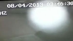 VIDEO Imagini INCREDIBILE! Ce a surprins un preot pe camerele de luat vederi din curtea casei sale: "Am fost uimit"