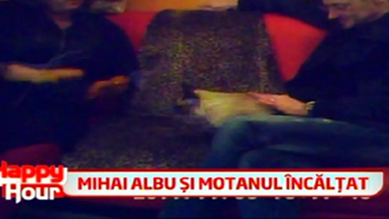 VIDEO Mihai Albu s-a reprofilat! Face cizme pentru pisici! Afla cine sunt primii lui clienti!