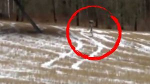 Românul care a filmat un extraterestru: „S-a întâmplat acum câteva minute, în apropiere de Municipiului Târgovişte!”