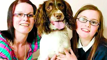 Un caine a mancat 750 de grame de pietre