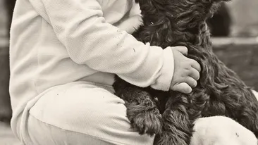 Imaginea de 1 MILIARD de LIKE-uri! “Cadoul” primit in dimineaţa de Crăciun a ajuns prietenul lui de o viaţă!